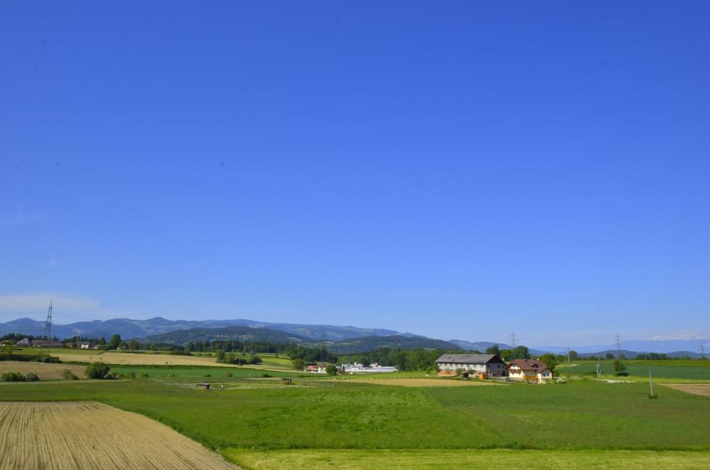 Ferienwohnungen Presslauer Mori - Haus Irmgard Sankt Kanzian am Klopeiner See Номер фото